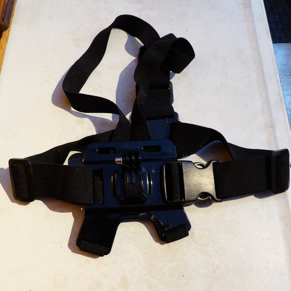 GoPro Cameras - Picture 12 of 16